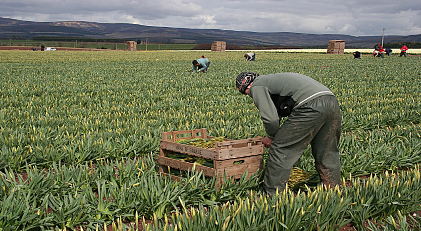 Crop Picker First slide