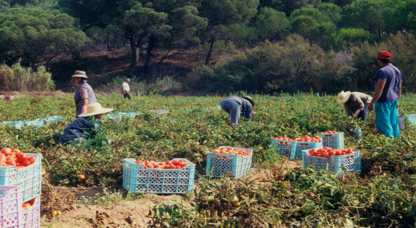 Crop Picker Third slide